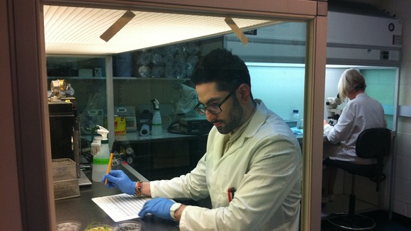 A scientist at Rothamsted Research
