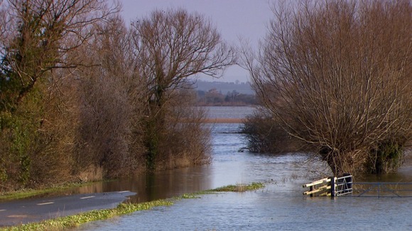 Flooded fields
