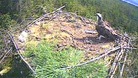 Osprey Kielder