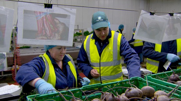 Workers in hi-vis jackets in front of crates of beetroot