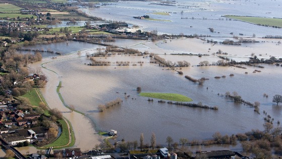 Somerset levels
