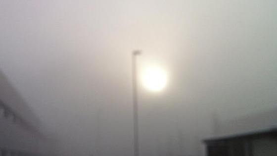 fog