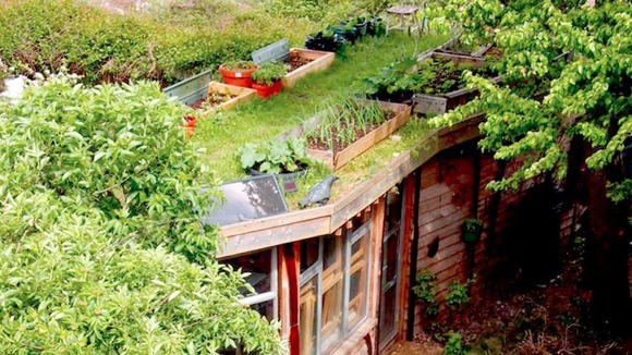 An allotment roof garden in London.