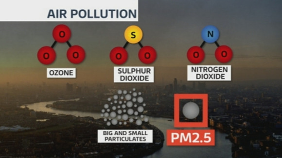 PM2.5 - found in tiny specks of matter - is especially hazardous.