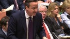 David Cameron at Prime Minister's Questions