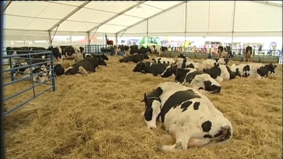 Bath and West Show