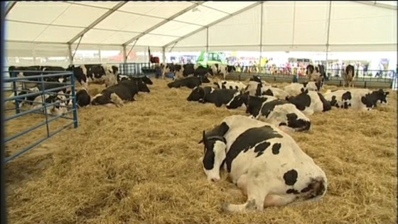 Bath and West Show