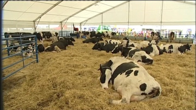 Bath and West Show