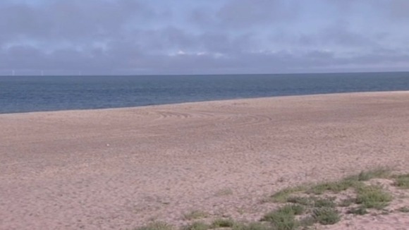 Yorkshire beaches praised