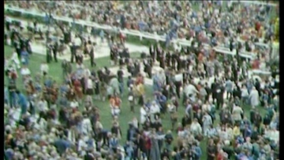 Crowds