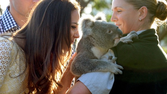 The Duchess of Cambridge meet Leuca the Koala.