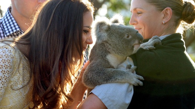 The Duchess of Cambridge meet Leuca the Koala.