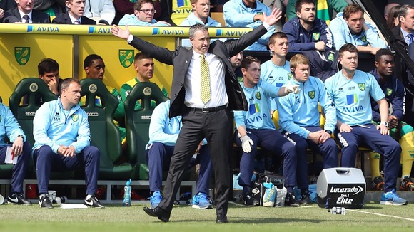 Norwich City's manager Neil Adams on the touchline