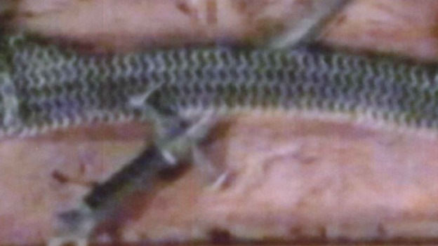 dagger