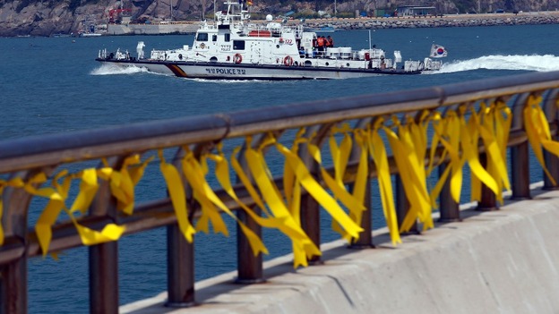 Yellow ribbons dedicated to the missing and dead passengers onboard the capsized Sewol ferry
