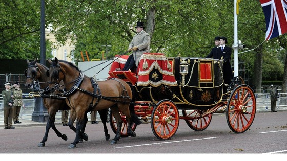 Horse and carriage