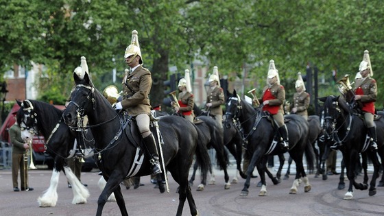 Horses.