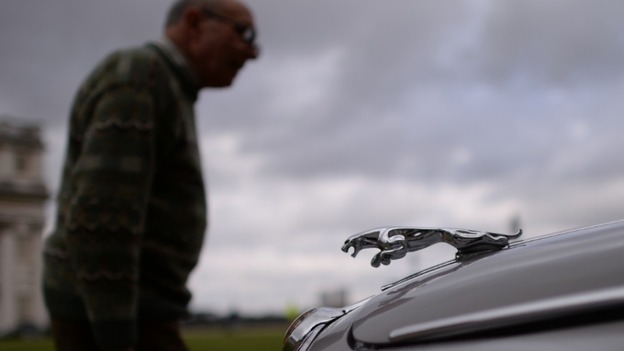 Jaguar run