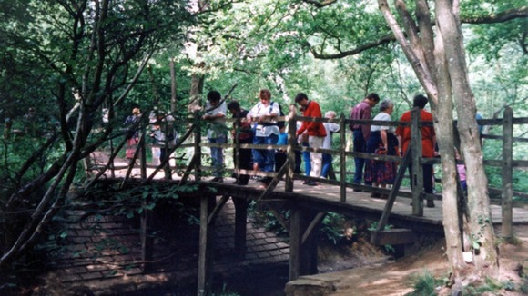 Pooh Bridge is popular with Winnie-the-Pooh enthusiasts.