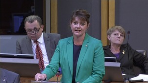 Leanne Wood AM, Plaid Cymru leader