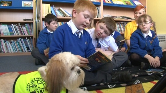 A Bark and Read session