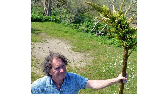 Ron Lyne with the rare Puya Chilensis 'sheep-eating' plant growing on his land.