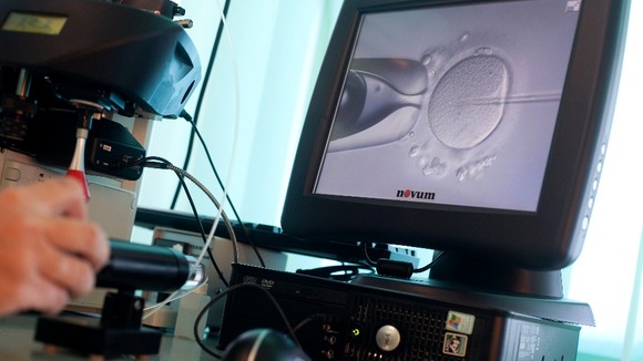 injects sperm directly into an egg during in-vitro fertilization (IVF).