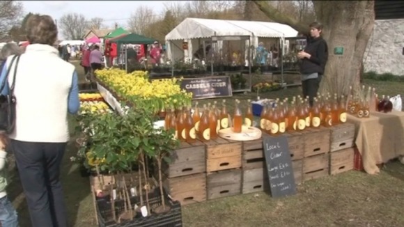 Thriplow Daffodil Festival