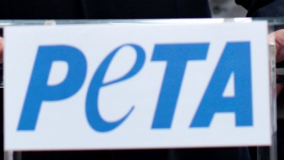 Peta