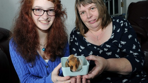 A friend rescued the scared pet and an appeal to find its rightful owner was posted on Facebook.