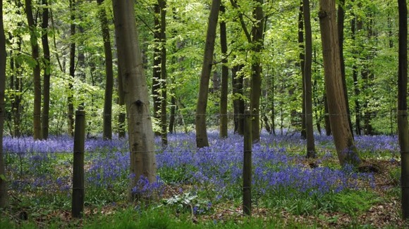 Nottingham