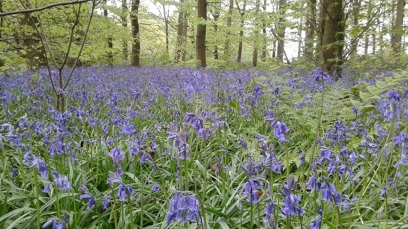 Osmaston Park, Derby