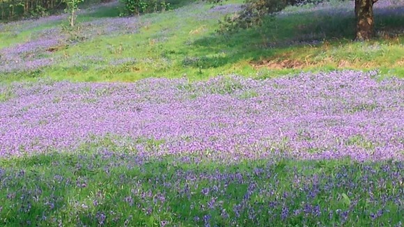 Malvern Hills