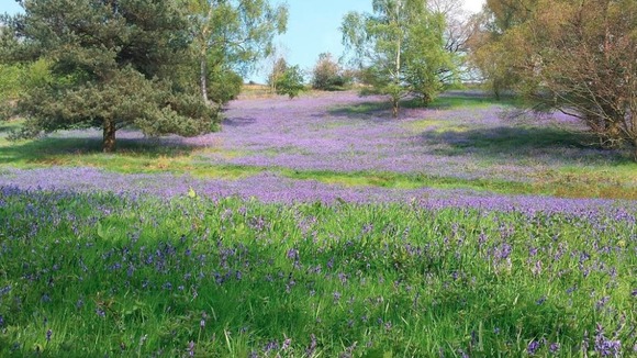 Malvern Hills