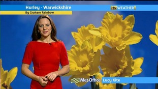 Daffodils are out in Warwickshire