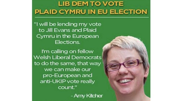 Plaid Cymru leaflet