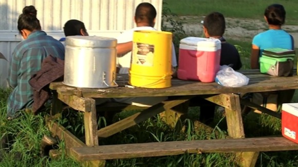 Tobacco pickers take a break from work.