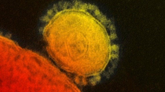 Mers belongs to the coronavirus family that includes the common cold and Sars, though is far harder to spread among people