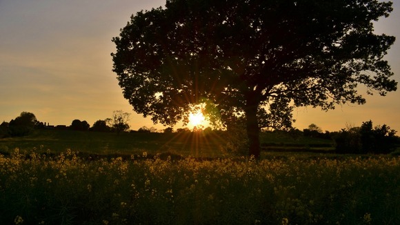 Norton Lindsey, Warwickshire