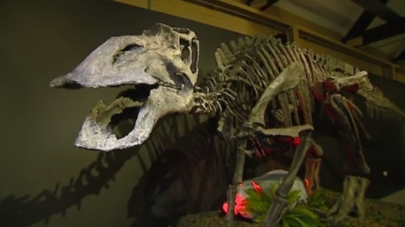 One of the dinosaurs on display at Woodhorn museum, Northumberland.