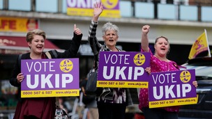 Ukip's swell of support saw them finish first in the European elections.