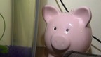 Family named UK's savviest after super saving effort