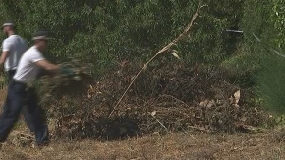 Officers clear shrubbery in the search for Madeleine McCann, who disappeared seven years ago in Portugal.