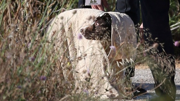 A British police handler cools down a sniffer dog after checking an area of scrubland during the search for evidence of Madeleine McCann.