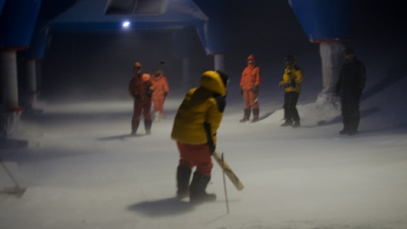Cold cricket