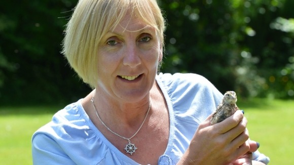 Mandy was surprised to find one of her shop-bought eggs had hatched