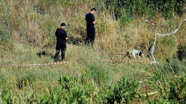 Police use sniffer dogs to search a patch of scrubland just outside Praia da Luz.