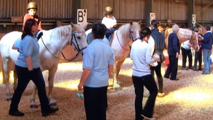 Bedford & District Handicapped Riders Association
