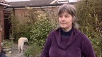 Sandra Waspe