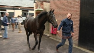 'Heroes Welcome' is unveiled at a Newmarket stables